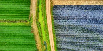 IoT na Agricultura Brasileira: Aumente a Produtividade em 15% - Cover Image