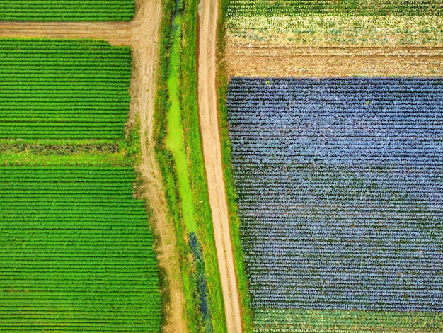 IoT na Agricultura Brasileira: Aumente a Produtividade em 15%