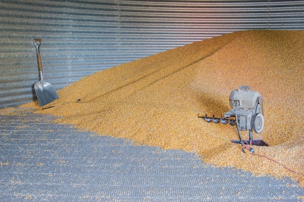 A close-up of a soil moisture sensor inserted into the ground in a cornfield, with the sensor connected to a wireless transmitter. The background shows healthy corn plants and a clear blue sky.