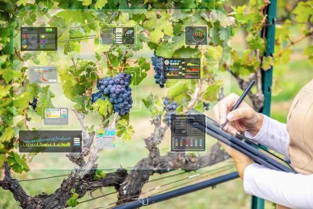 A dashboard displaying real-time data from various sensors in a vineyard, showing parameters such as soil moisture, temperature, and humidity. The dashboard is user-friendly and visually appealing, with charts and graphs illustrating the data trends.