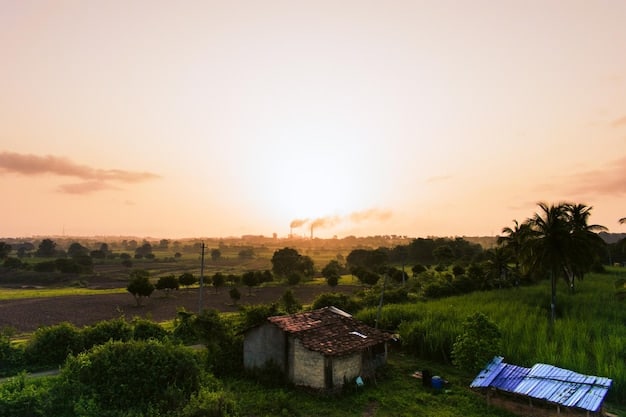 A solar panel farm in a rural area of Brazil, capturing sunlight with mountains in the background, illustrating the country's renewable energy potential and attracting foreign investment.