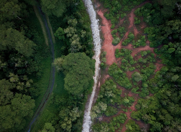 An aerial view of a deforested section of the Amazon rainforest next to a healthy vibrant section of forest. The photograph should have dramatic lighting, showcasing the contrast between the destroyed landscape and the pristine environment.