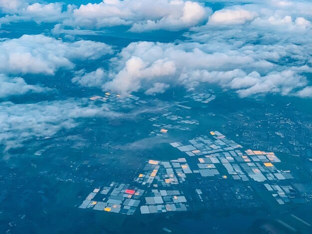 Brasil e a Guerra Comercial: Impactos e Setores Vulneráveis