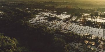 Brasil e a crise energética: diversificação e impactos no consumidor - Cover Image