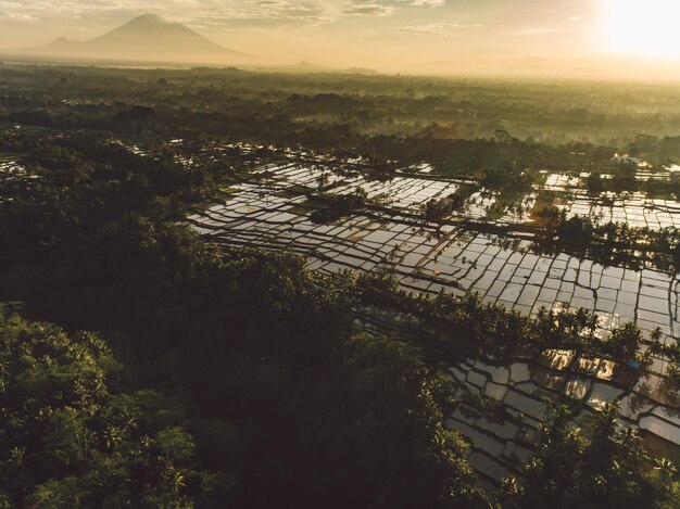 Brasil e a crise energética: diversificação e impactos no consumidor