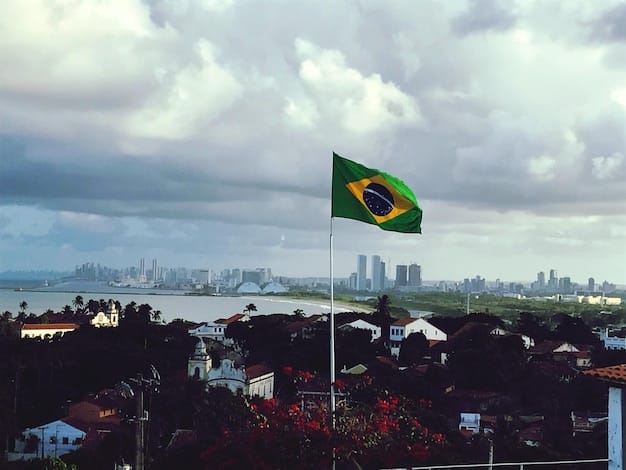 Brasil no G20: Prioridades e Propostas para o Desenvolvimento Global em 2025